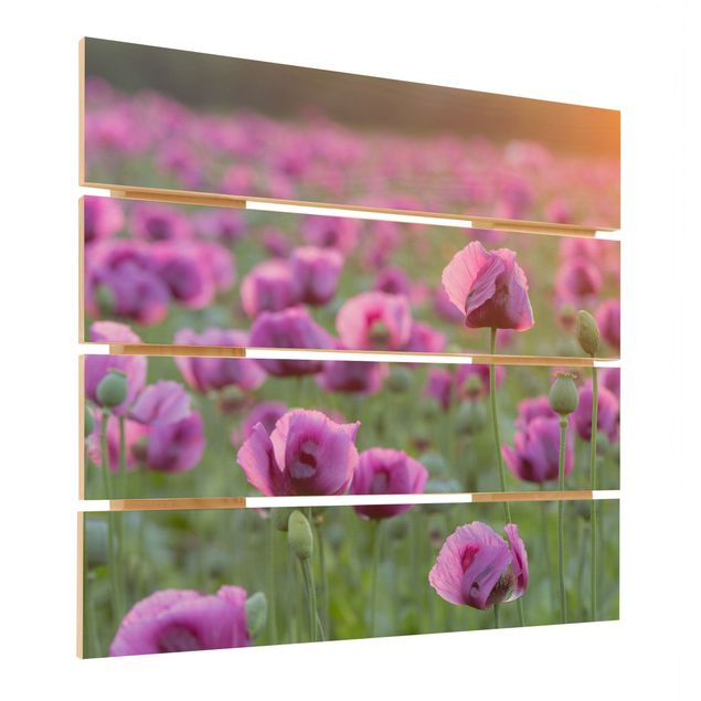 Holzbild - Violette Schlafmohn Blumenwiese im Frühling - Quadrat 1:1