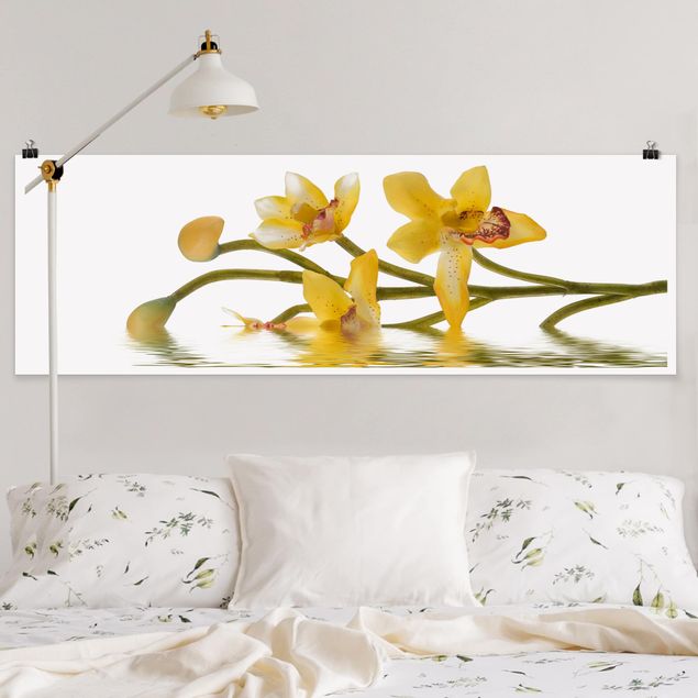Blumenposter Saffron Orchid Waters