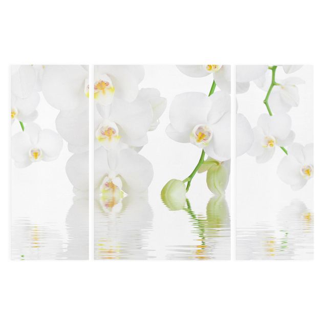 Wandbilder Wellness Orchidee - Weiße Orchidee