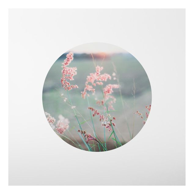 Alu-Dibond - Pinke Blumen im Kreis - Quadrat