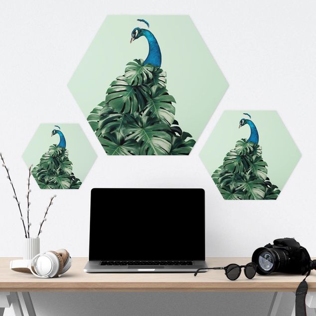 Hexagon Bild Forex - Jonas Loose - Pfau mit Monstera Blättern