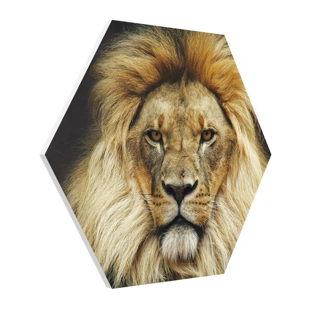 Hexagon Wandbilder Wisdom of Lion