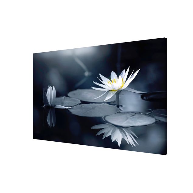 Wandbilder Lotus Spiegelung im Wasser