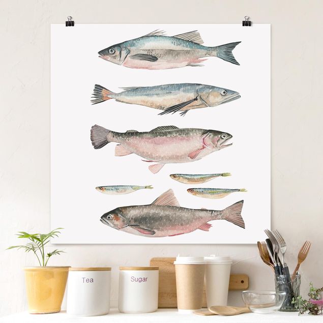 Poster - Sieben Fische in Aquarell I - Quadrat 1:1