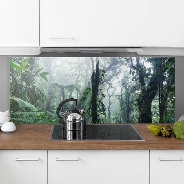 Spritzschutz Glas magnetisch Monteverde Nebelwald