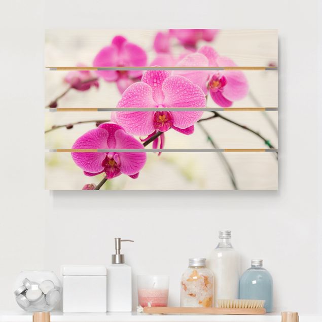 Holzbilder mit Blumen Nahaufnahme Orchidee
