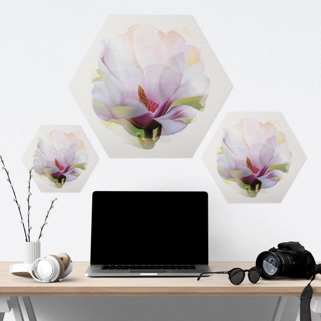 Hexagon Bild Forex - Wasserfarben - Zarte Magnolienblüte