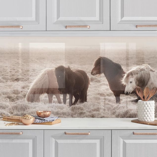 Küchenrückwände Platte Island Wildpferde