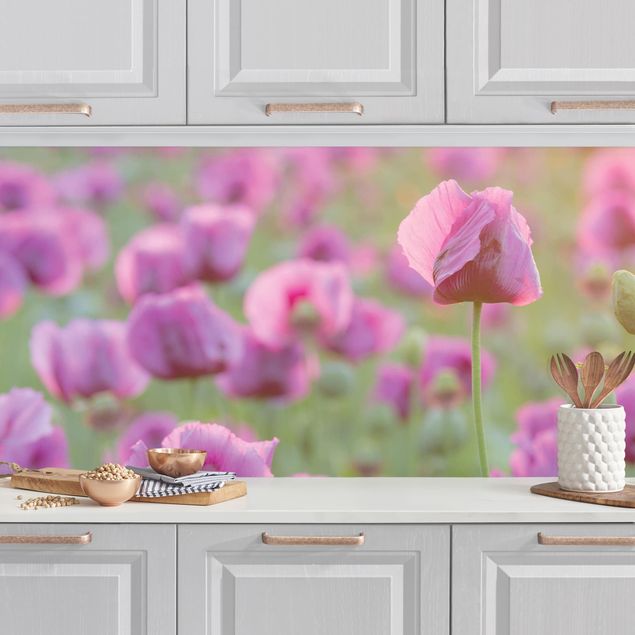 Küchenrückwände Platte Violette Schlafmohn Blumenwiese im Frühling