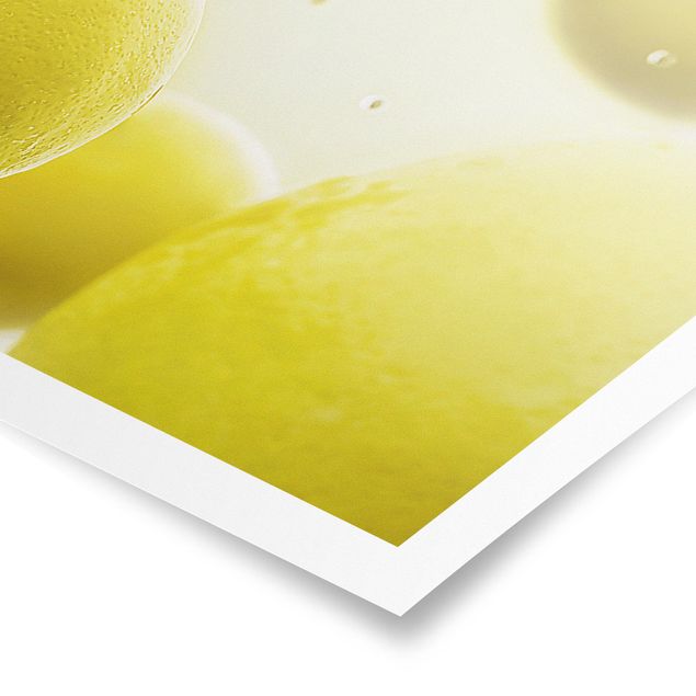 Poster - Zitronen im Wasser - Panorama Querformat