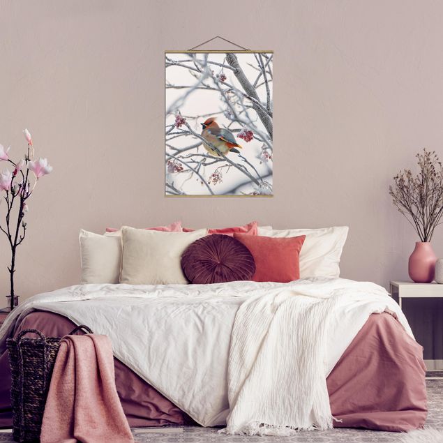 Schöne Wandbilder Seidenschwanz im Baum