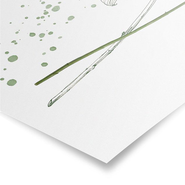 Poster Botanisches Aquarell - Lilie