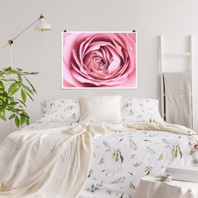 Schöne Wandbilder Rosa Rosenblüte
