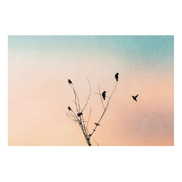 Bilder auf Hartschaumplatte Vögel vor rosa Sonne II