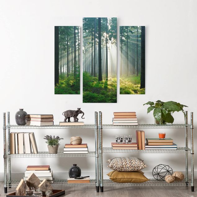 Wandbilder Natur Enlightened Forest