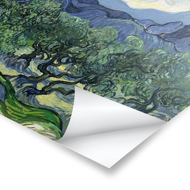Wandbilder Vincent van Gogh - Olivenbäume