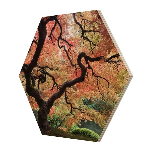 Hexagon Bild Holz - Japanischer Garten