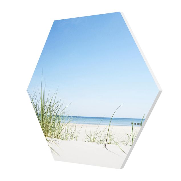 Hexagon Bild Forex - Ostseeküste