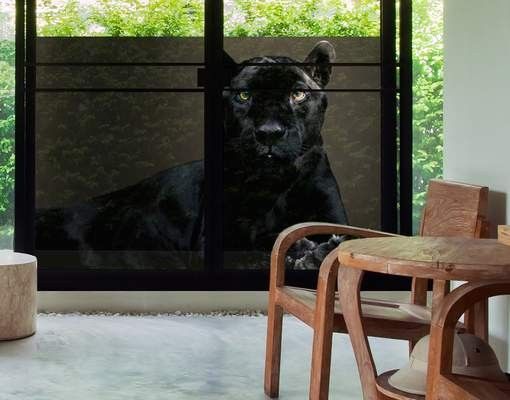 Tier Fensterbilder Black Puma