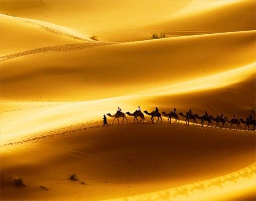 Fliesenbild - Golden Dunes