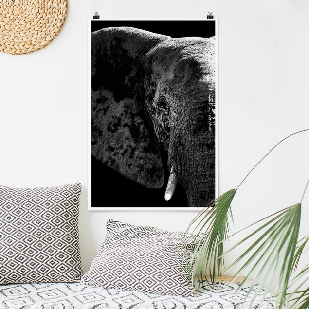 Wandbilder Tiere Afrikanischer Elefant schwarz-weiß