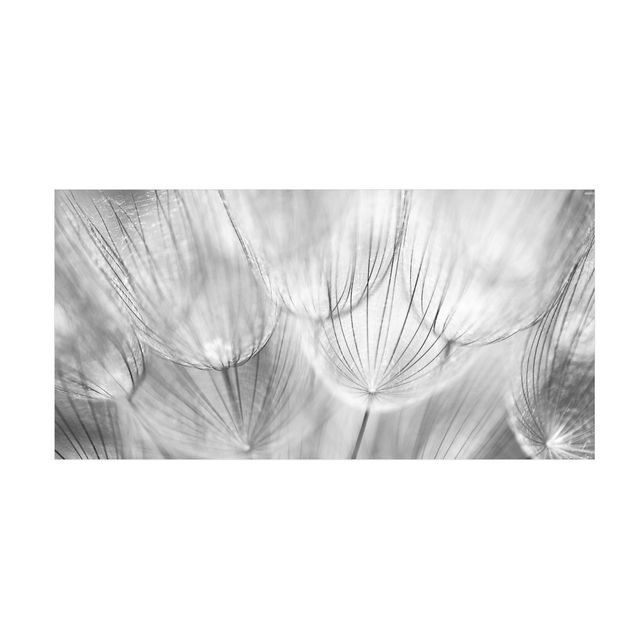 Teppich Blumen Pusteblumen Makroaufnahme in schwarz weiß