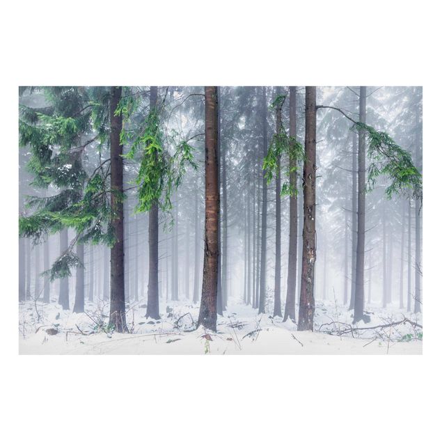 Magnettafel - Nadelbäume im Winter - Hochformat 3:2