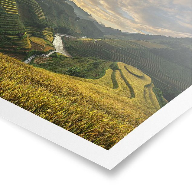 Poster - Reisplantagen in Vietnam - Querformat 3:4