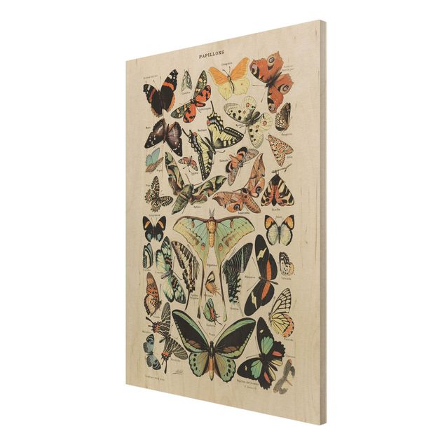 Holzbilder Vintage Lehrtafel Schmetterlinge und Falter