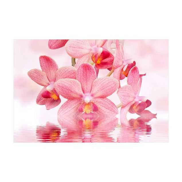 Teppich Blumen Rosa Orchideen auf Wasser