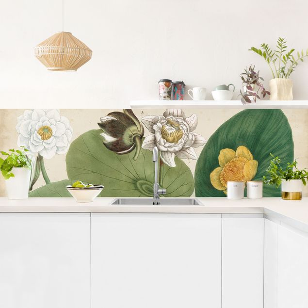 Küchenrückwand Blumen Vintage Illustration Weiße Wasserlilie