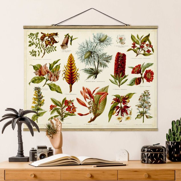 Schöne Wandbilder Vintage Lehrtafel Tropische Botanik I