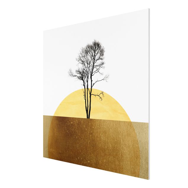 Forex Fine Art Print - Goldene Sonne mit Baum - Quadrat 1:1