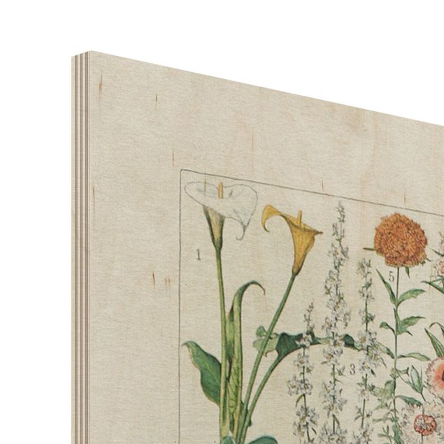Holzbild - Vintage Lehrtafel Blumen I - Hochformat 4:3