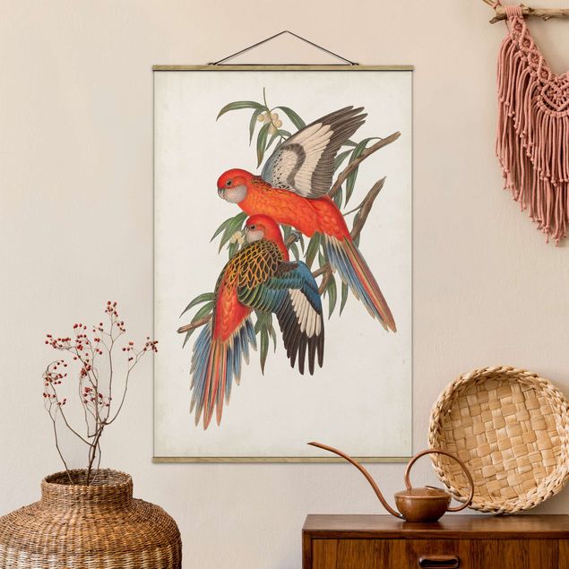 Wandbilder Tiere Tropische Papageien I