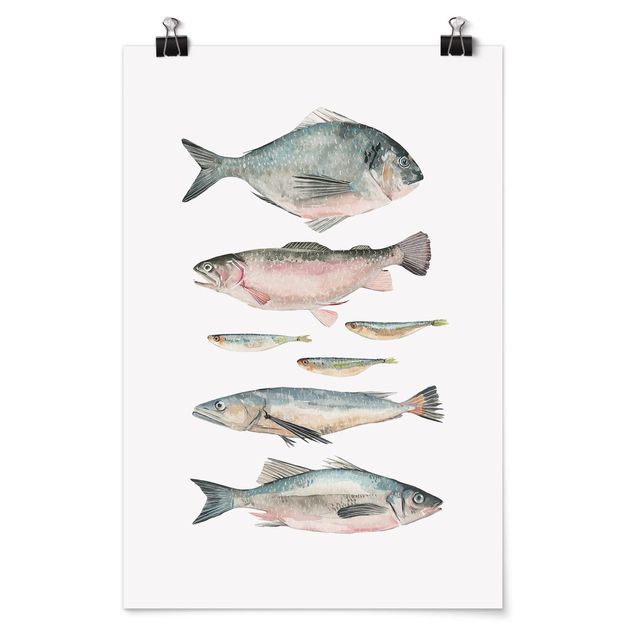 Poster Aquarell Sieben Fische in Aquarell II