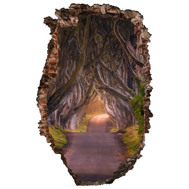 Wandtattoo Wald Tunnel aus Bäumen