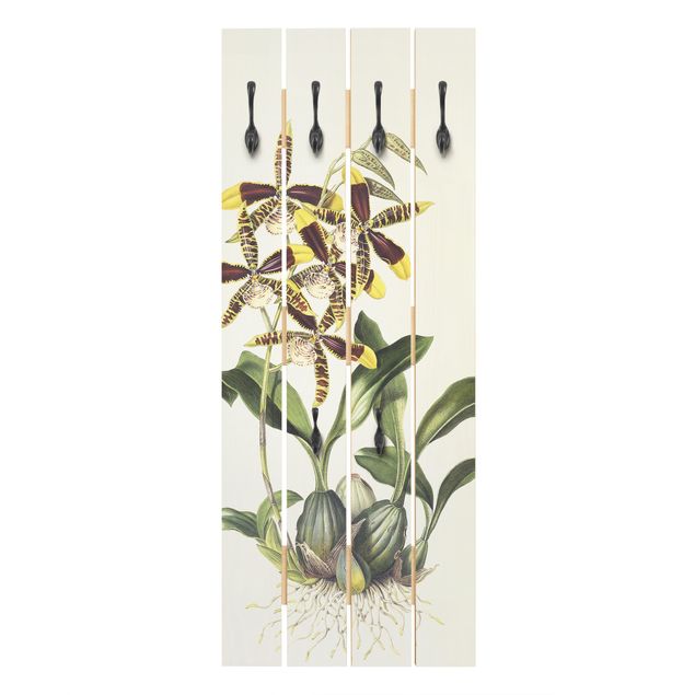 Garderobenpaneel Maxim Gauci - Orchidee II