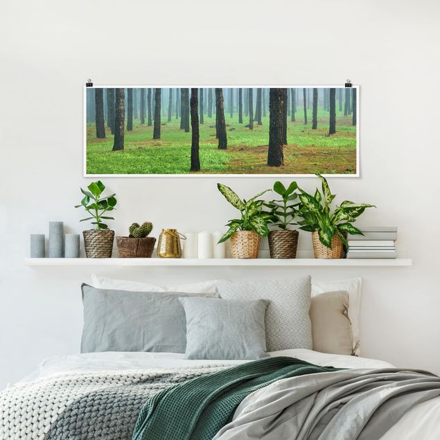 Poster - Tiefer Wald mit Kiefern auf La Palma - Panorama Querformat