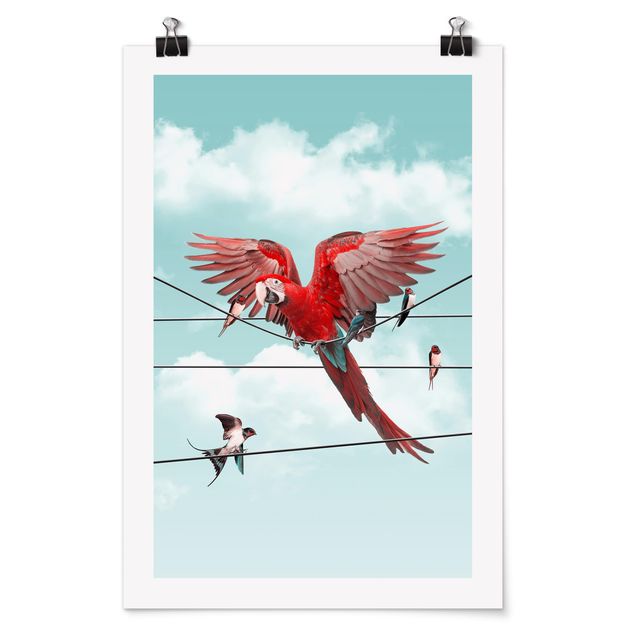 Poster Tiere Himmel mit Vögeln