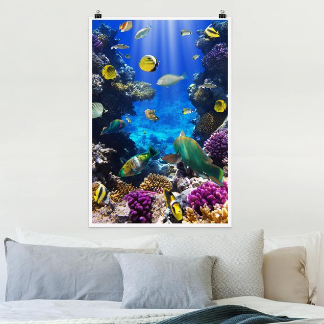 Wandbilder Tiere Underwater Dreams