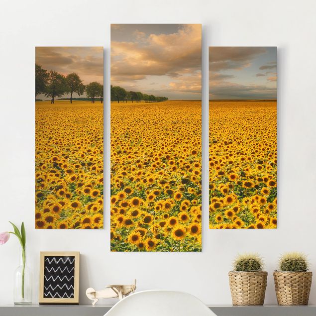 Leinwandbilder XXL Feld mit Sonnenblumen