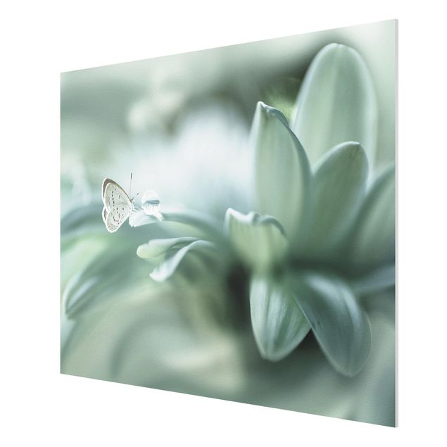 Schöne Wandbilder Schmetterling und Tautropfen in Pastellgrün