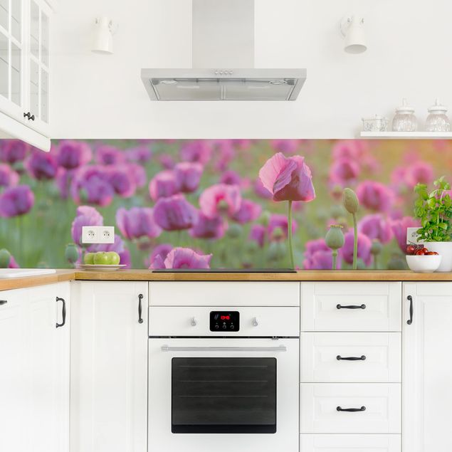 Küchenrückwand Glas Motiv Blumen Violette Schlafmohn Blumenwiese im Frühling