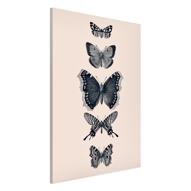 Wandbilder Tiere Tusche Schmetterlinge auf Beige