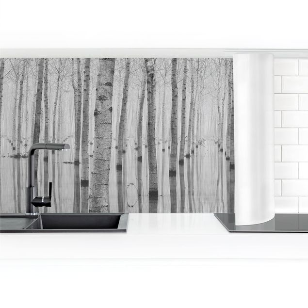 Küchenrückwand Schwarz-Weiß Birken im November