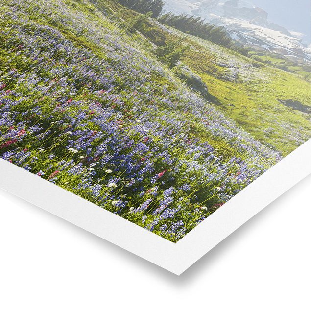 Poster - Bergwiese mit Blumen vor Mt. Rainier - Quadrat 1:1