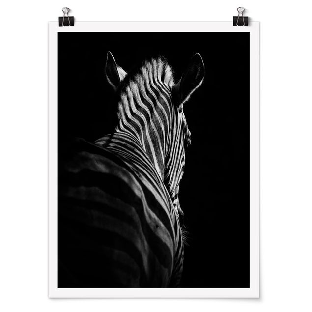 Wandbilder Dunkle Zebra Silhouette