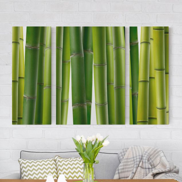 Leinwandbilder XXL Bambuspflanzen