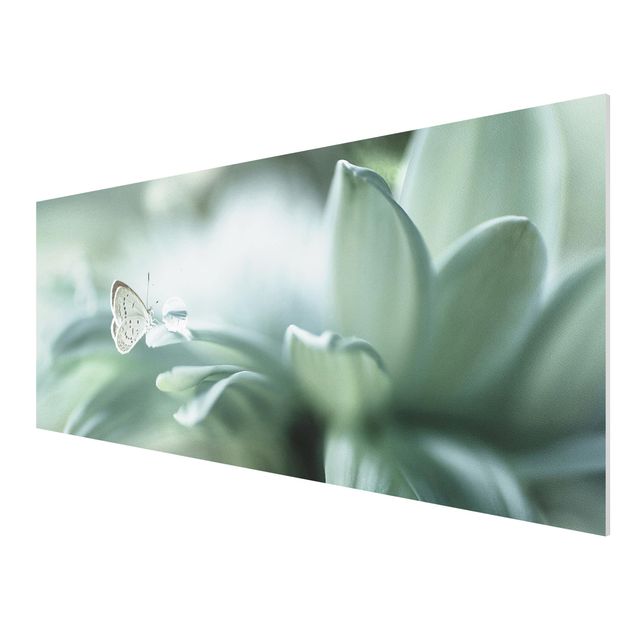 Schöne Wandbilder Schmetterling und Tautropfen in Pastellgrün
